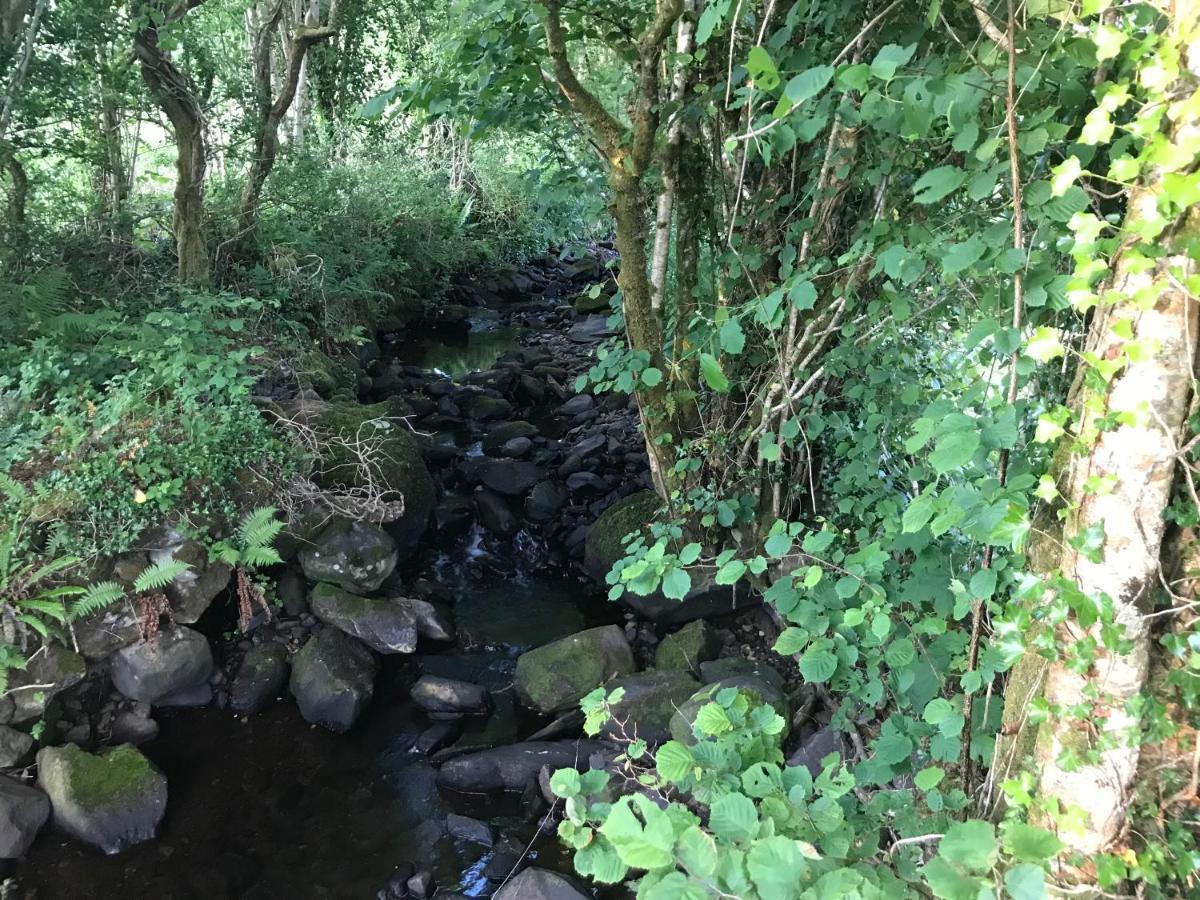 Lissyclearig Lodge Kenmare Eksteriør billede